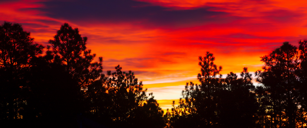 Sky Fire